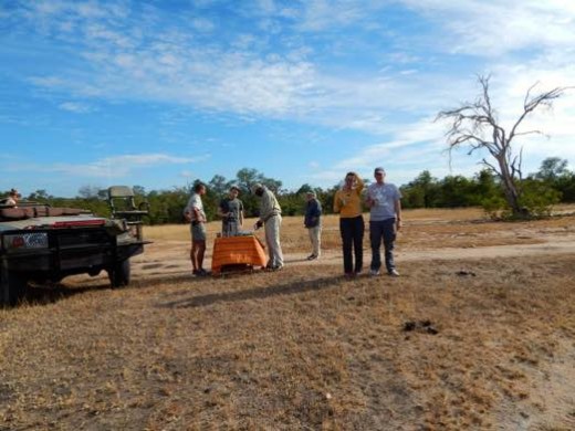 Coffe break morning game drive